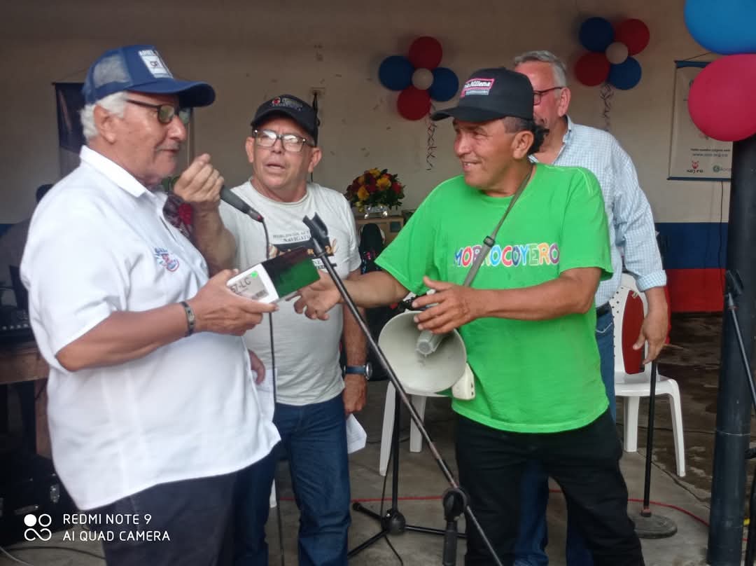 Imagen 5